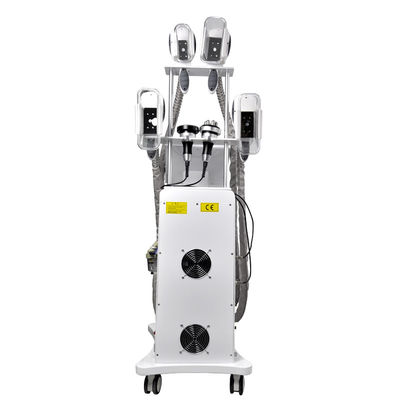  Fat Freeze Cryolipolysis Slimming Machine 800W OEM