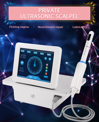 Ultrasound Vaginal Treatment Hifu Body Slimming Machine 2 In 1