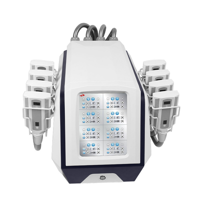 Non Invasive Ice Sculpting Equipment Weight Loss Cold Plate Cryolipolysis Fat Freezing Machine