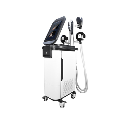 2 ইন 1 Ems Cryo Body Sculpting Machine  4 হ্যান্ডেল এস্টিমুলাডার মাসকুলার মেশিন