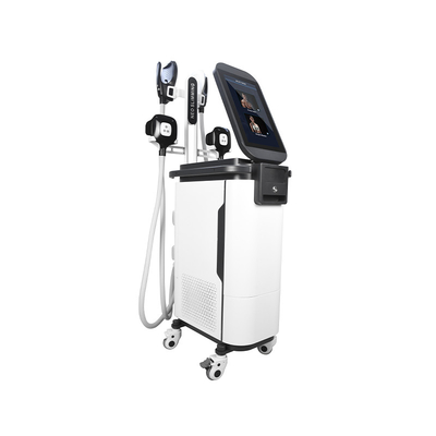 2 ইন 1 Ems Cryo Body Sculpting Machine  4 হ্যান্ডেল এস্টিমুলাডার মাসকুলার মেশিন