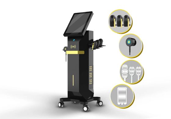 উল্লম্ব EMRF মুখের ত্বকের টান পুনরায় পৃষ্ঠতল মেশিন 4MHz ফ্রিকোয়েন্সি